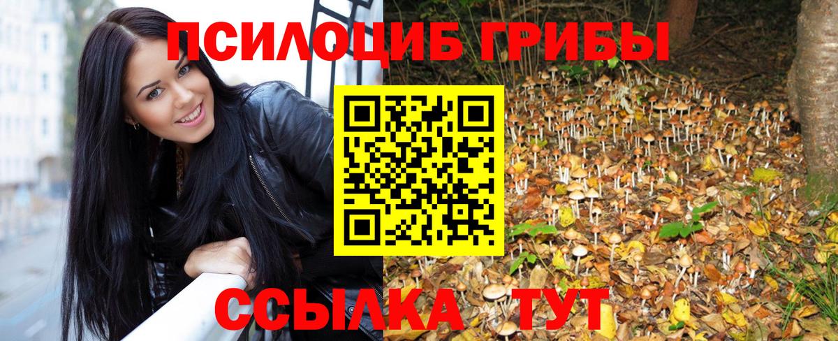 Псилоцибиновые грибы Cubensis  Вход с VPN  Калининград 